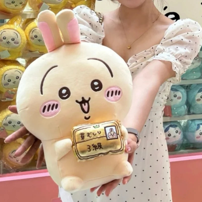 30cm Usagi Weeding Certificate Series Hachiware Camera Plush Toy Large Doll Bear Chiikawa Sofa Pillow Bedroom Ornament Gift New