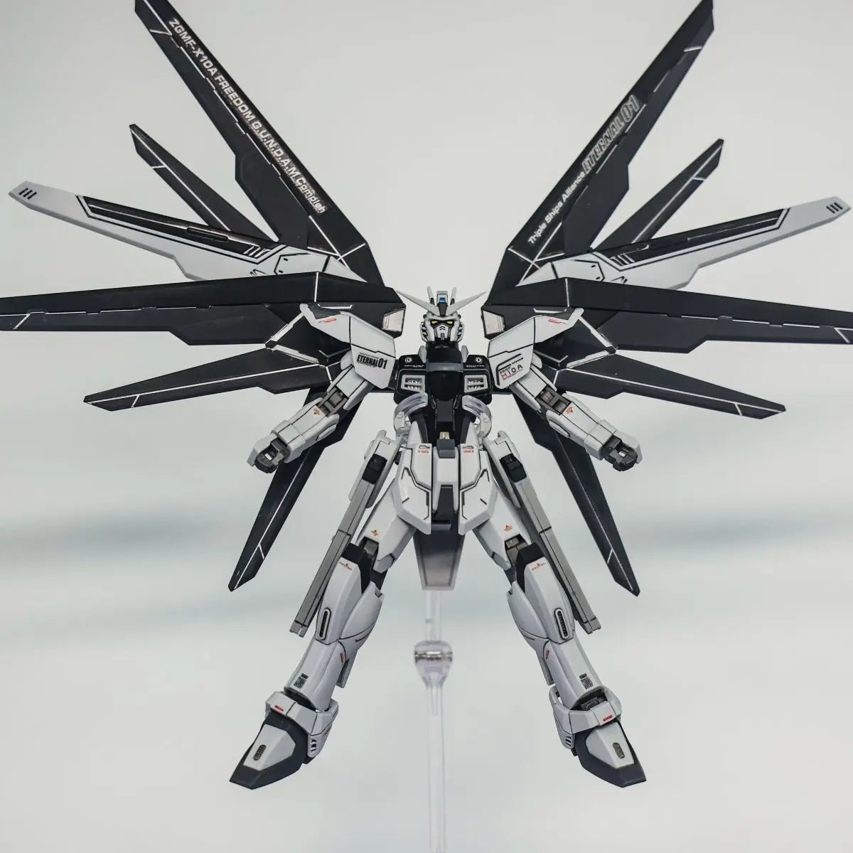 JMS HG 1/144 ZGMF-X10A Freedom Assembled Model Kit Blue Cherry Unstarted Colors Fixed Version Collectible Model Ornament Gift