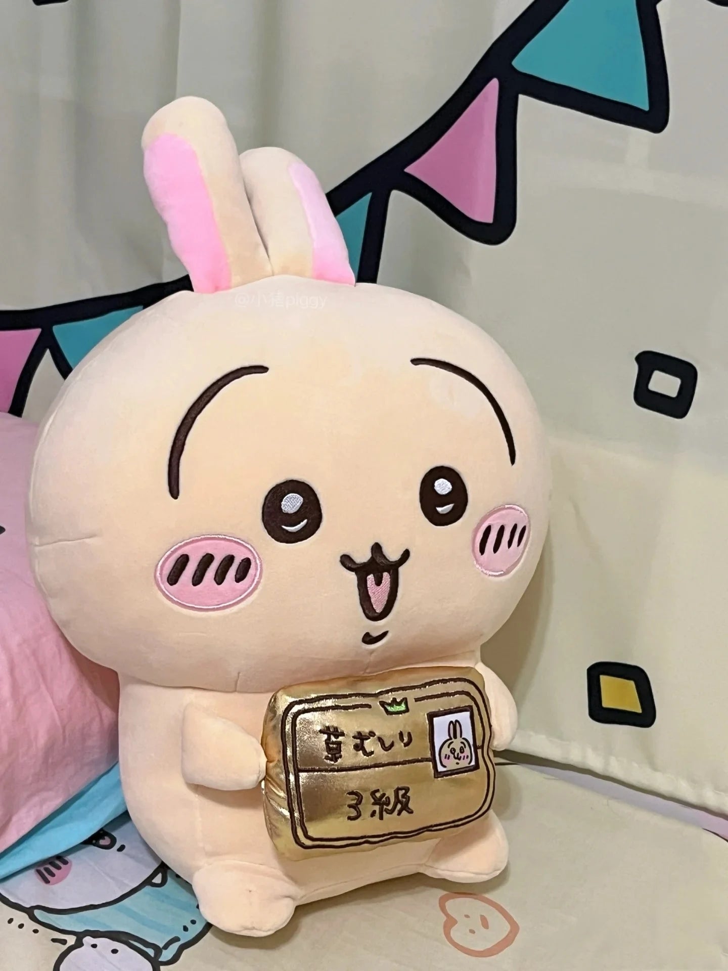 30cm Usagi Weeding Certificate Series Hachiware Camera Plush Toy Large Doll Bear Chiikawa Sofa Pillow Bedroom Ornament Gift New