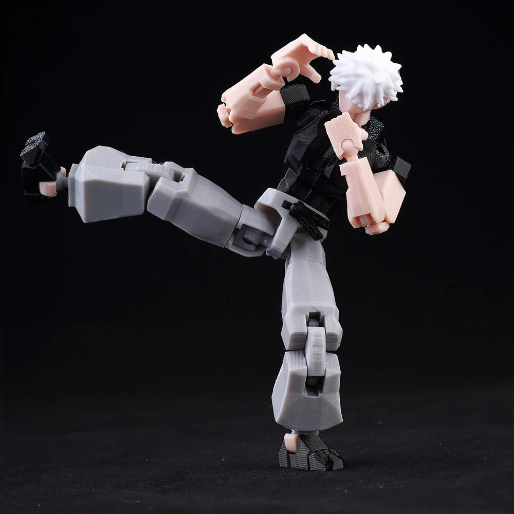 VIP-Dropshipping 9L3D Printed Anime Characters Lucky Dummy 13 Action Figures Multi-Jointed Movable Shapeshift Mannequin Toys