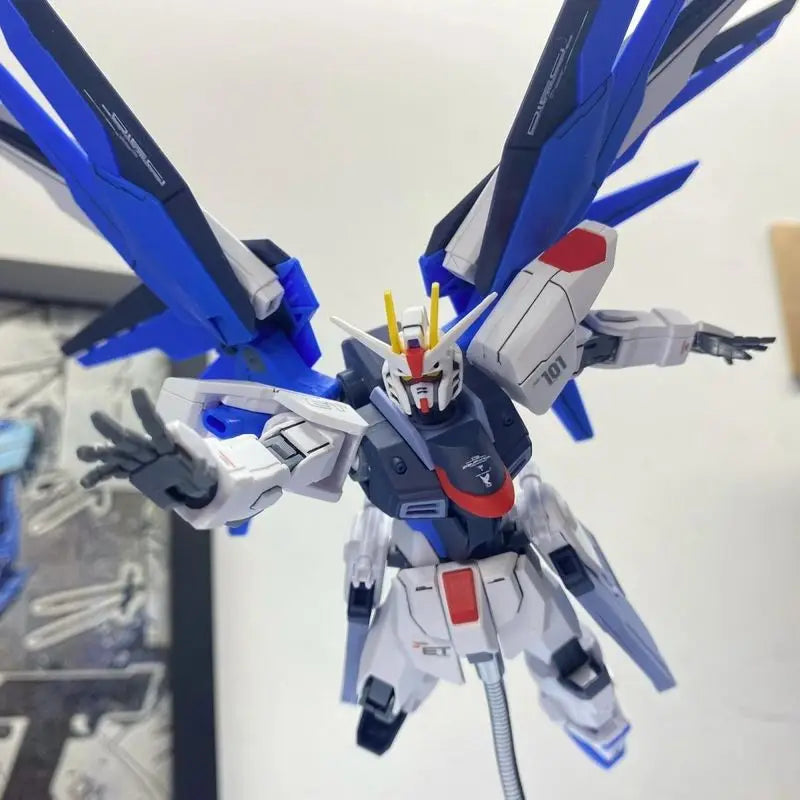 JMS HG 1/144 ZGMF-X10A Freedom Assembled Model Kit Blue Cherry Unstarted Colors Fixed Version Collectible Model Ornament Gift