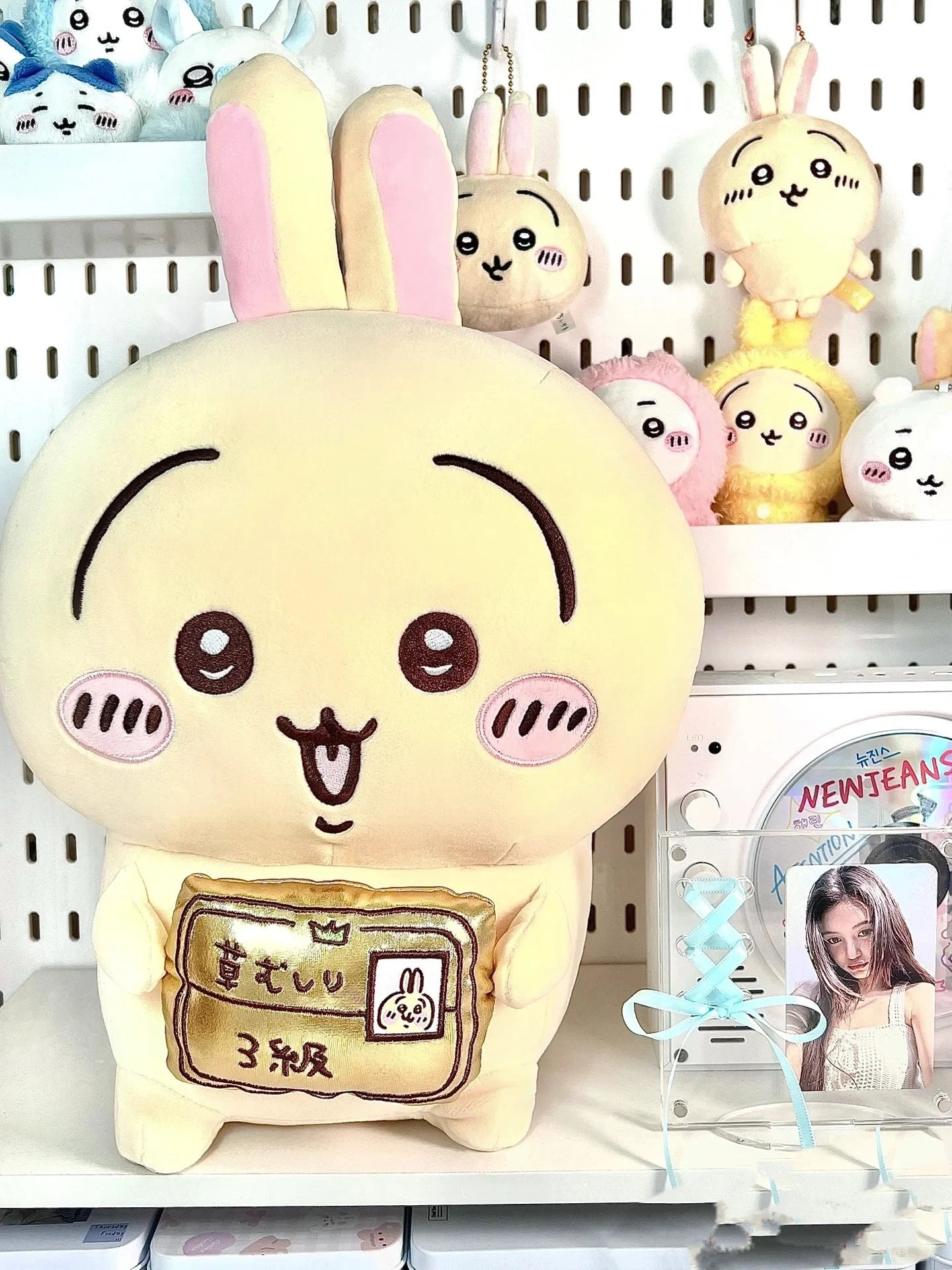 30cm Usagi Weeding Certificate Series Hachiware Camera Plush Toy Large Doll Bear Chiikawa Sofa Pillow Bedroom Ornament Gift New