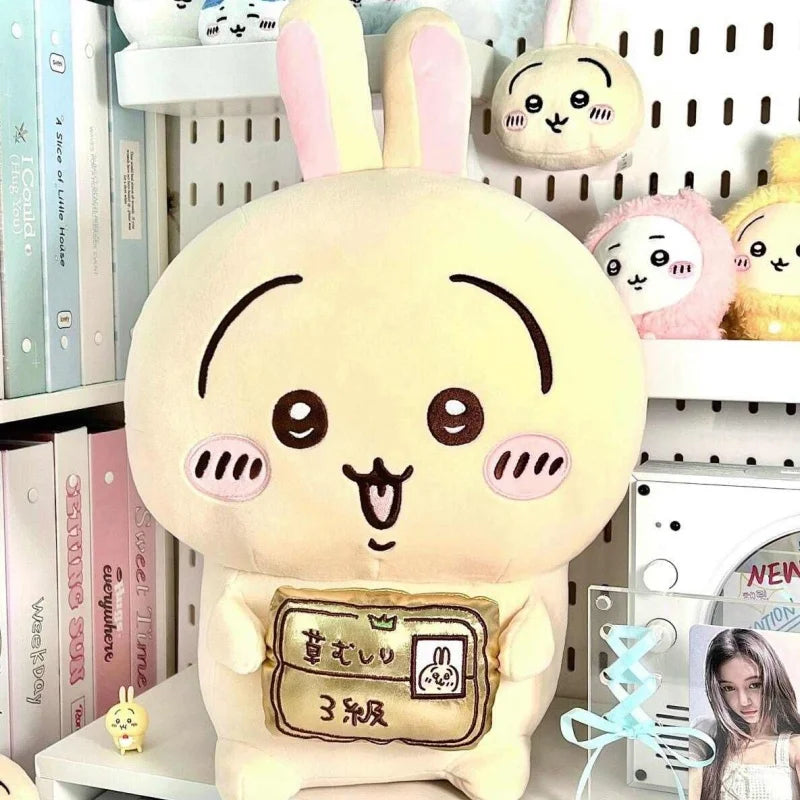 30cm Usagi Weeding Certificate Series Hachiware Camera Plush Toy Large Doll Bear Chiikawa Sofa Pillow Bedroom Ornament Gift New