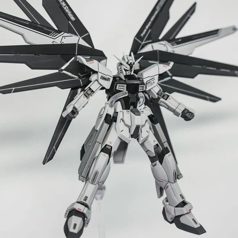 JMS HG 1/144 ZGMF-X10A Freedom Assembled Model Kit Blue Cherry Unstarted Colors Fixed Version Collectible Model Ornament Gift